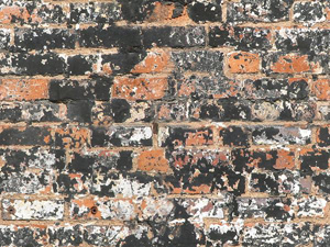3D TEXTURES