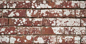 3D TEXTURES