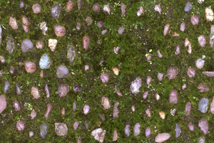 3D TEXTURES