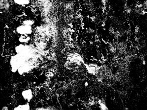 3D TEXTURES