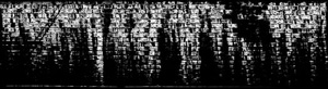 3D TEXTURES