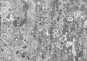 3D TEXTURES