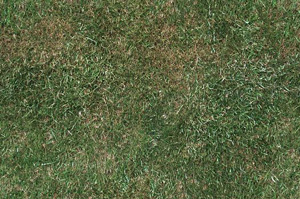 3D TEXTURES