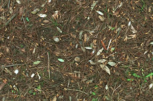 3D TEXTURES