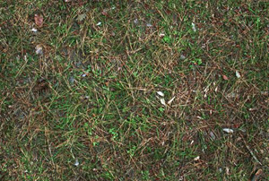 3D TEXTURES