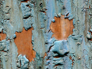 3D TEXTURES