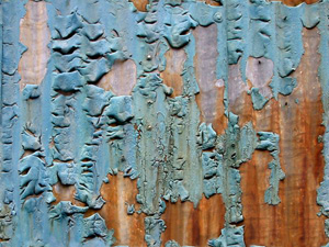 3D TEXTURES