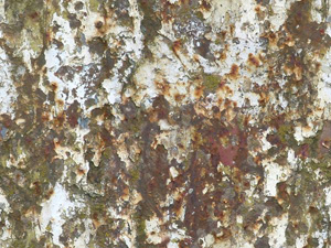 3D TEXTURES