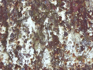 3D TEXTURES