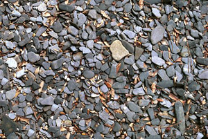 3D TEXTURES