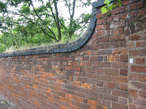 3D TEXTURES