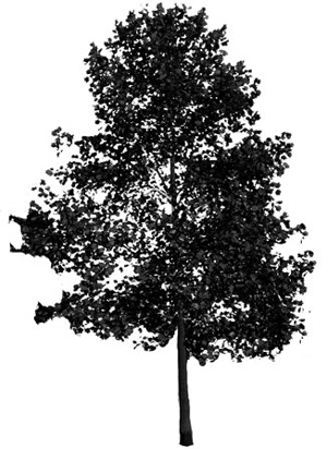3D TEXTURES