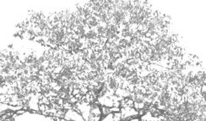 3D TEXTURES