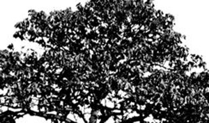 3D TEXTURES