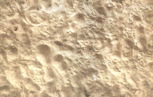 3D TEXTURES