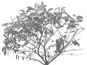 3D TEXTURES