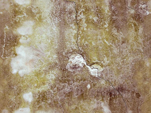 3D TEXTURES