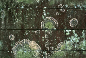 3D TEXTURES