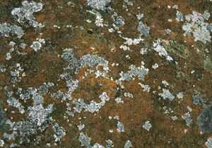 3D TEXTURES