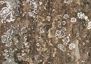 3D TEXTURES