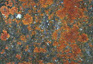 3D TEXTURES