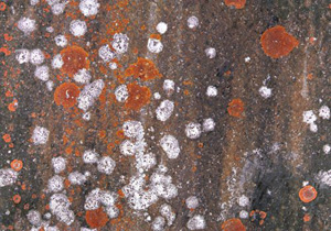 3D TEXTURES