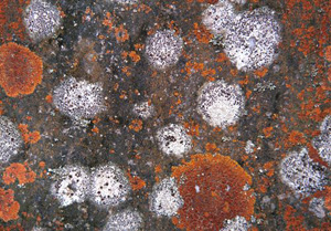 3D TEXTURES