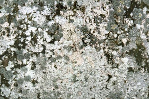 3D TEXTURES