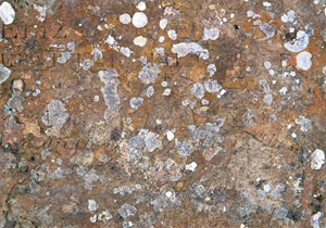 3D TEXTURES
