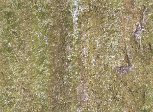 3D TEXTURES