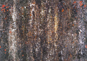 3D TEXTURES