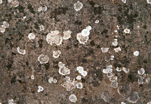 3D TEXTURES