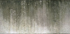 3D TEXTURES