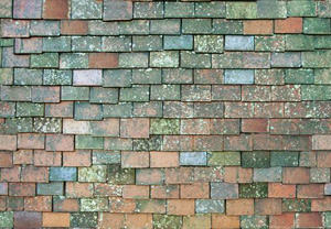3D TEXTURES