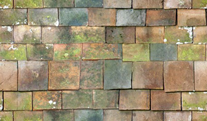 3D TEXTURES