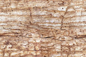 3D TEXTURES