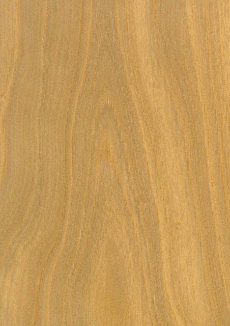 3D TEXTURES