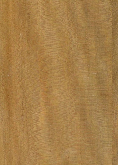 3D TEXTURES