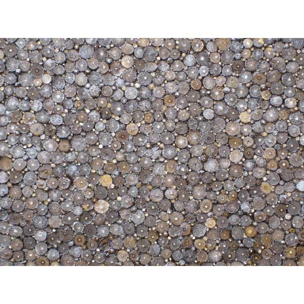 3D TEXTURES
