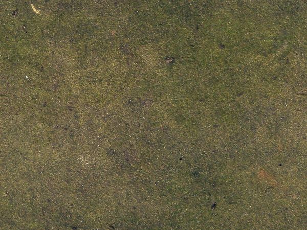 3D TEXTURES