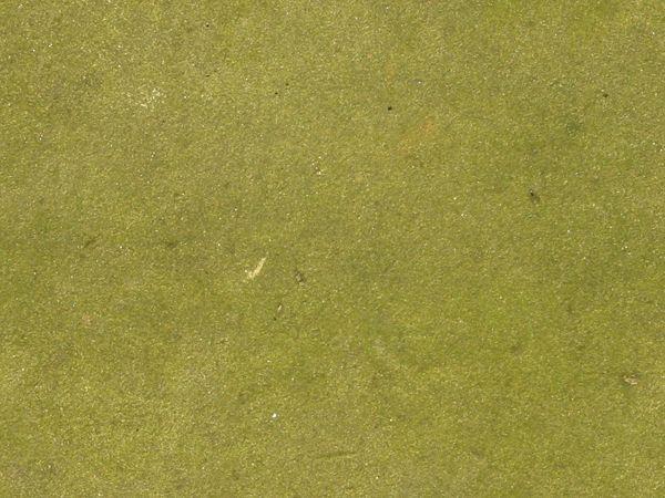 3D TEXTURES