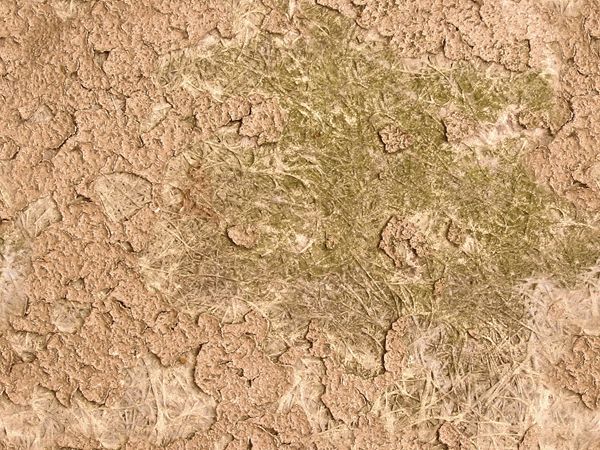 3D TEXTURES