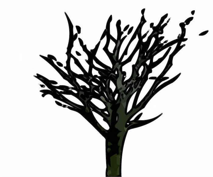 3D TEXTURES