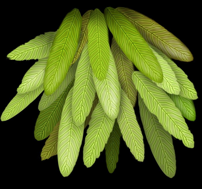 3D TEXTURES