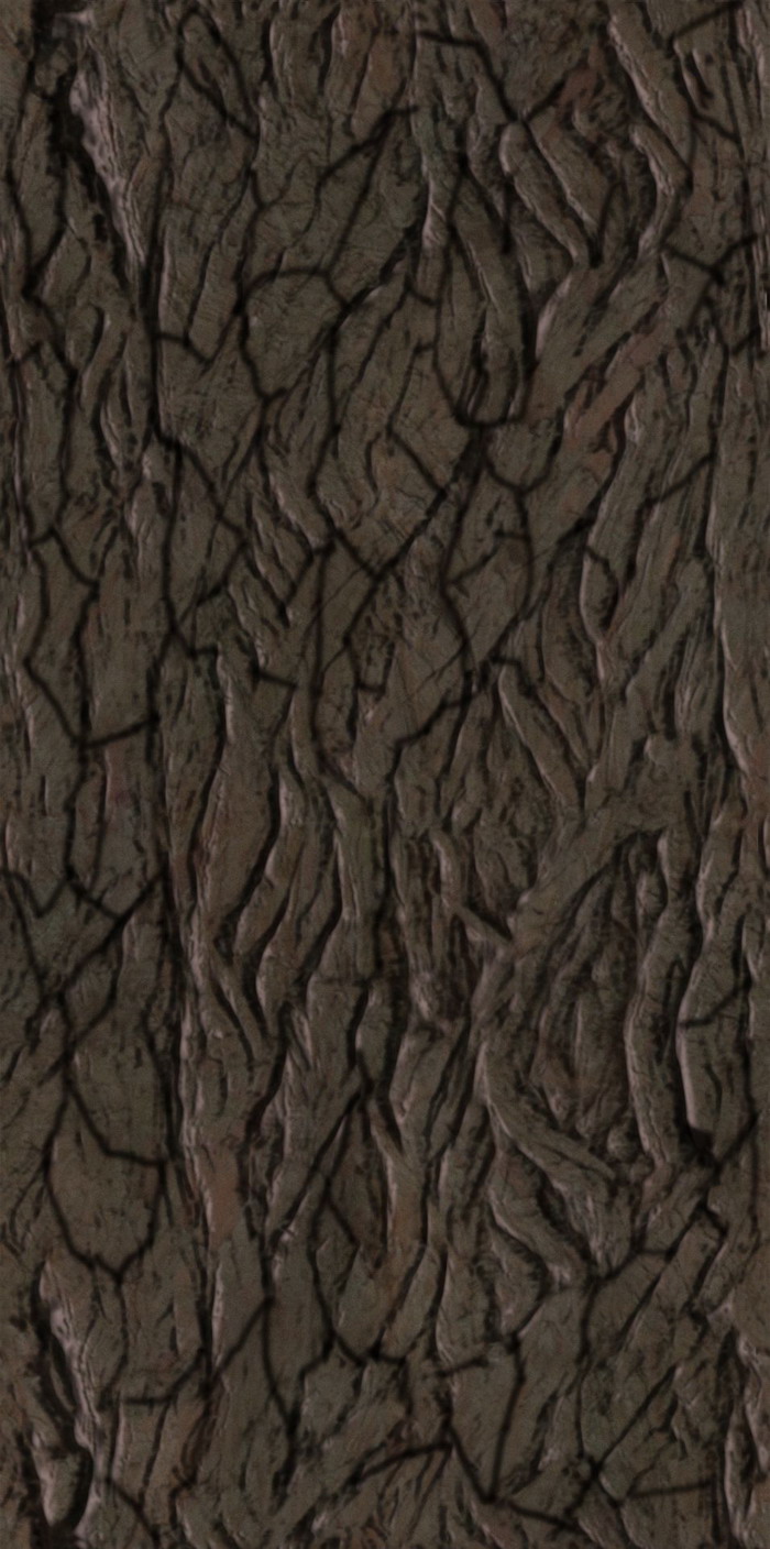 3D TEXTURES