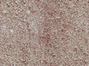 3D TEXTURES