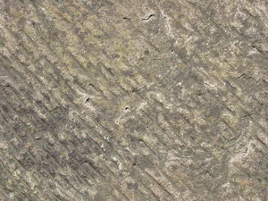 3D TEXTURES