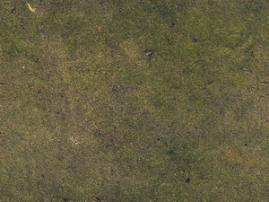 3D TEXTURES