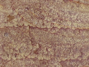 3D TEXTURES