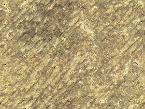3D TEXTURES